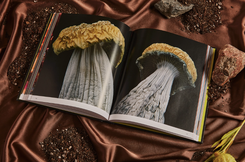 Spores: Magical Mushroom Photography Book