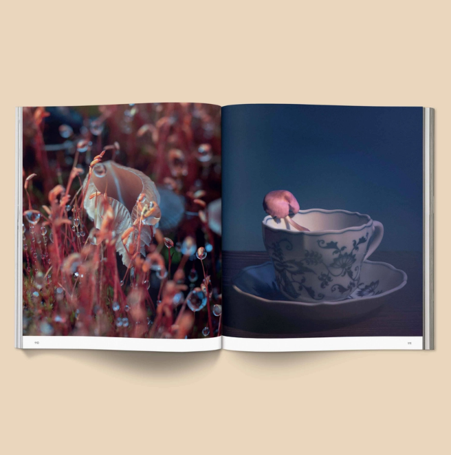 Spores: Magical Mushroom Photography Book