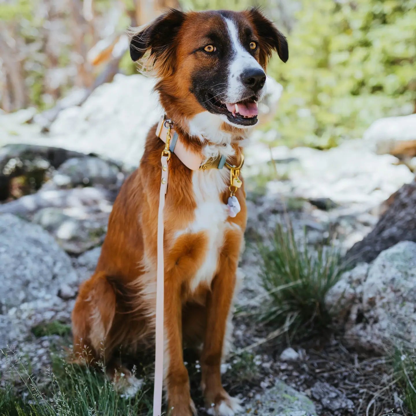 Waterproof Leash