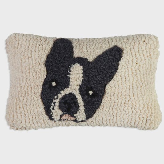 Boston Terrier