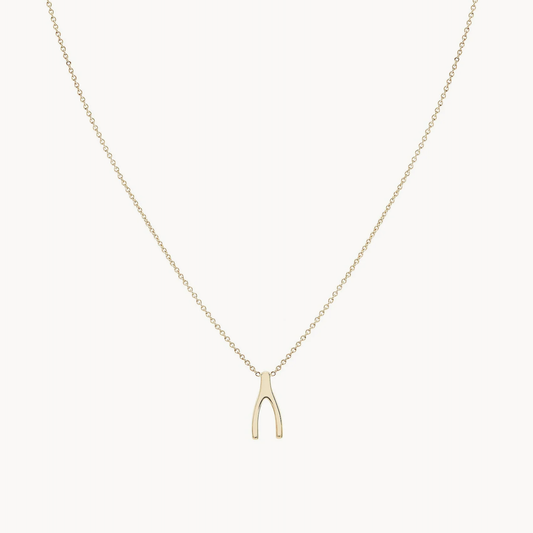 Everyday Wishbone Necklace