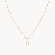 Everyday Wishbone Necklace