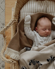 Organic Cotton Baby Blanket