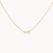 Everyday Wishbone Necklace