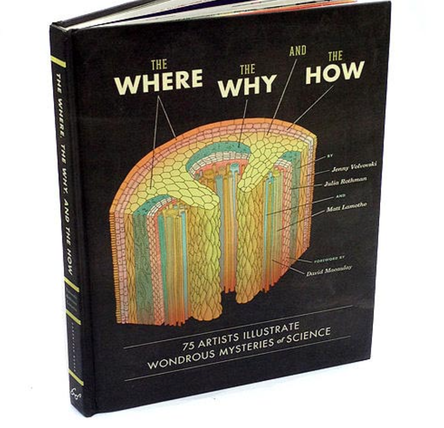 Where, Why, How