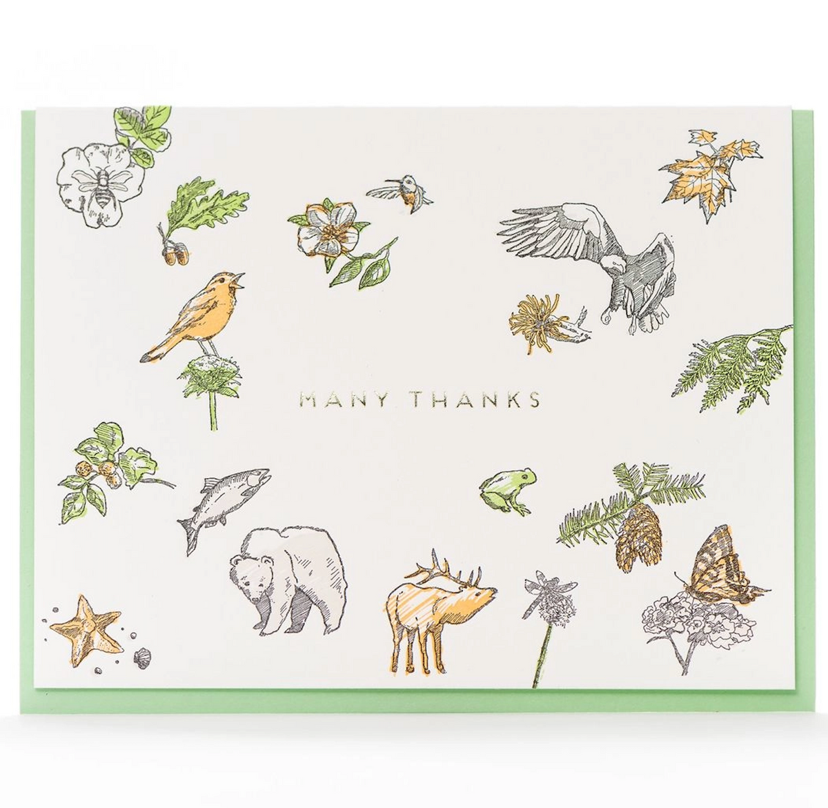 Porchlight Press Cards